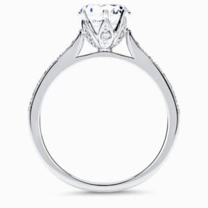 Delicate Rings