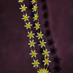 Gold Coated Creative "Ganesha Haar" with Beautiful Flower Design