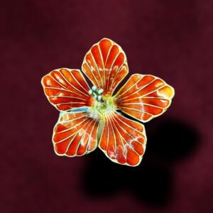 Jaswandi Flower In "italian" Silver